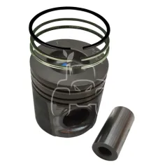 Pistón con aros