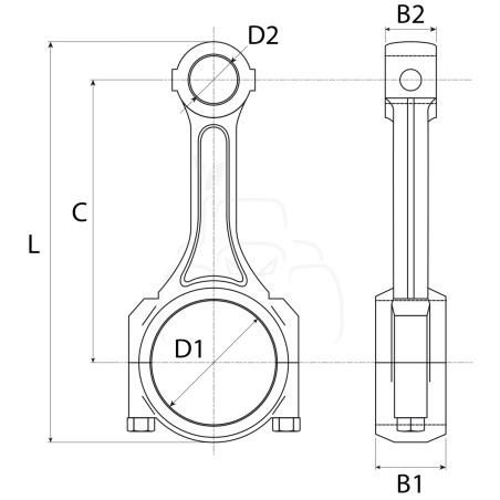 Biela