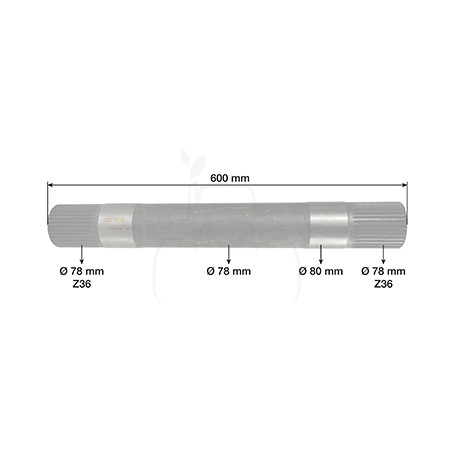 Eje elevador