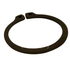 Anillo de retención
