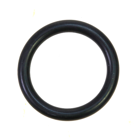 Junta tórica
