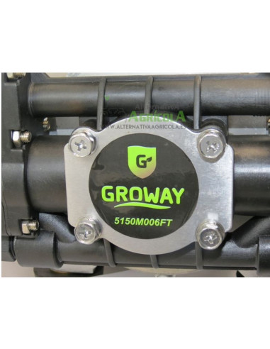 Grupo bomba de Pulverización con motor eléctrico