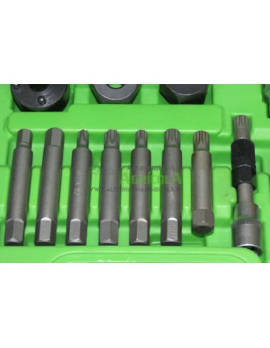 Kit Extractor de Poleas de Alternador 18 Piezas