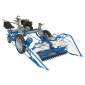 B.C.S de 3 y 2 Ruedas